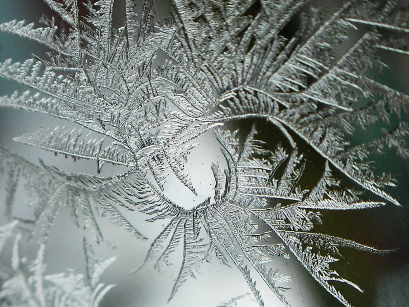 http://www.fotoplex.ru/photos/freshta75/Winter/i-189087.jpg